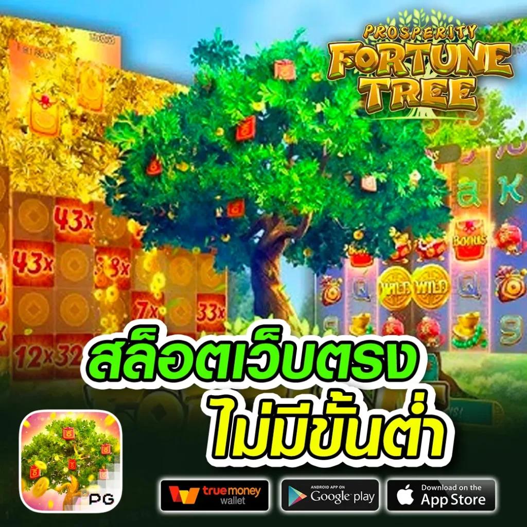 สล็อต777 pg เว็บตรง สล็อต ฝากถอนออโต้ ไม่ผ่านเอเย่นต์ 2026
