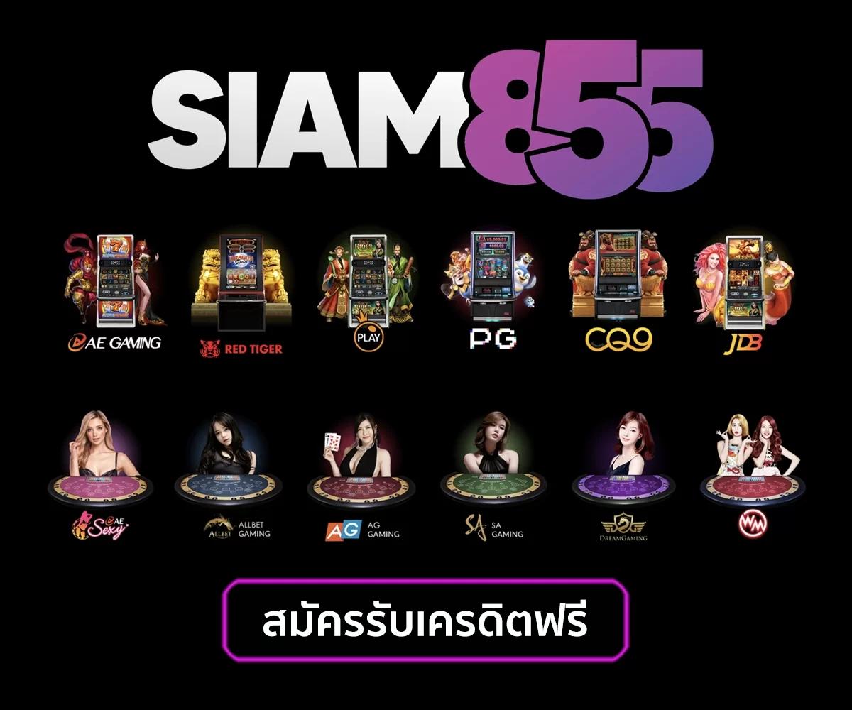 หวยออนไลน์ cat888 เว็บตรง สล็อต ฝากถอนออโต้ ไม่ผ่านเอเย่นต์ 2026